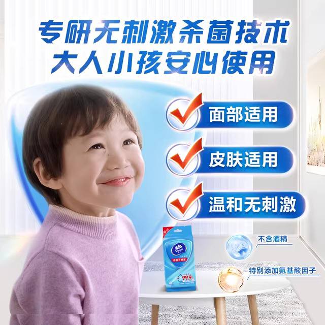 Tissue-VW1009 Vinda 10 Sheets Sanitized Wet Wipe(Singlepack) 10packs/bag 60bags/cartoon